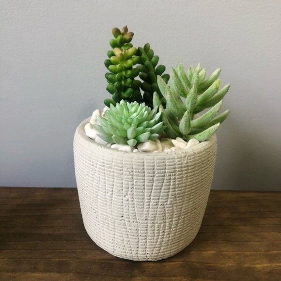 Faux succulents 3 - Picture 2 of 5